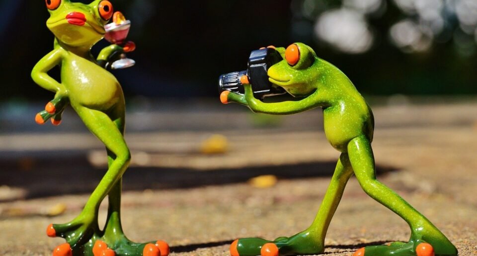 “Strike a Pose, Capture the Moment”