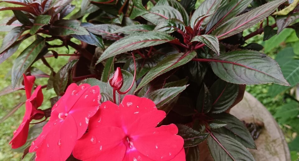 Evening Bonding Vibes with My Son