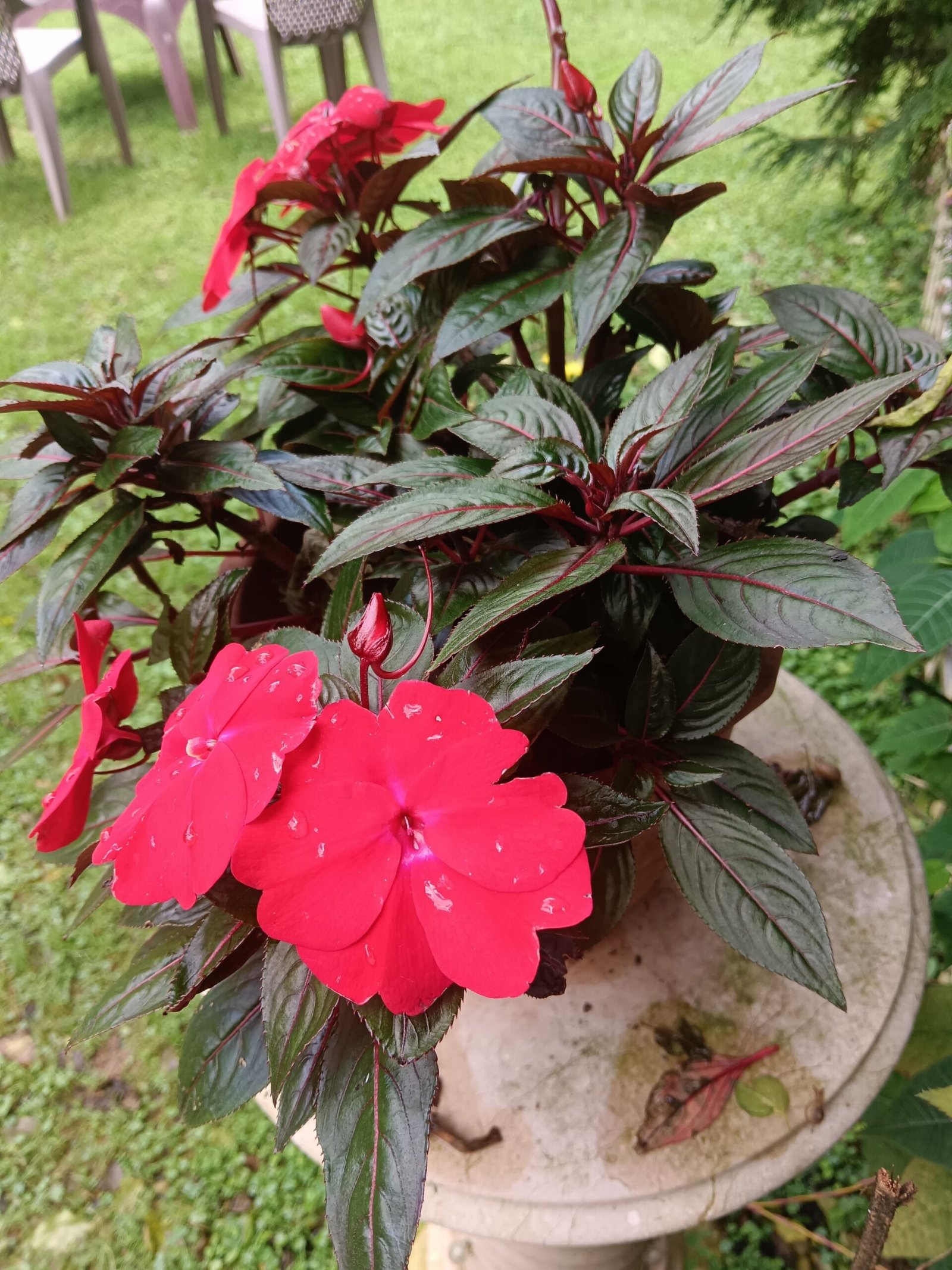 Evening Bonding Vibes with My Son