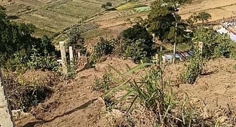 The World Looks Softer From Here