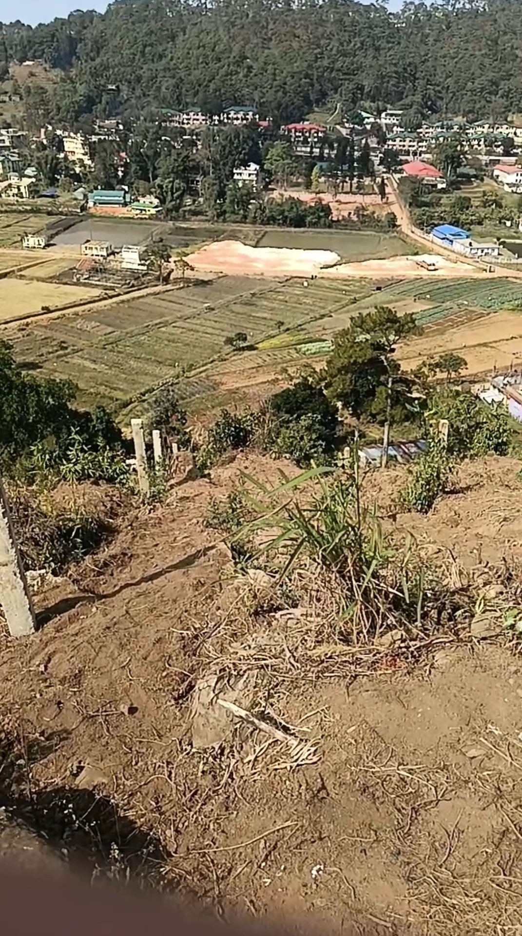 The World Looks Softer From Here